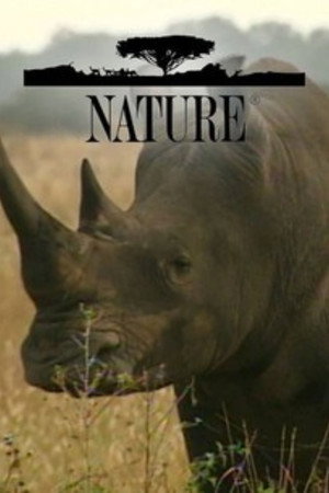 Nature poszter