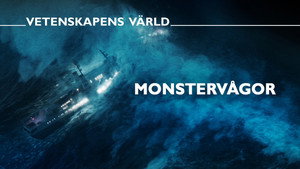 Vetenskapens värld 51. évad Ep.28 28. epizód