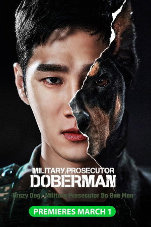 군검사 도베르만 poszter