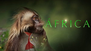 A varázslatos Afrika kép