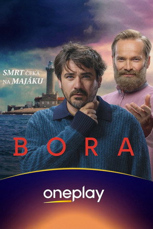 Bora poszter