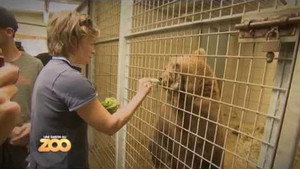 Une saison au zoo 4. évad Ep.8 8. epizód