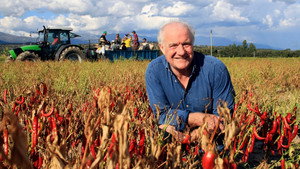 Rick Stein's Spain kép