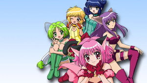 東京ミュウミュウ kép