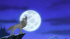The Legend of White Fang kép