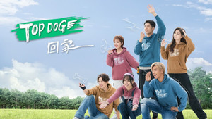 TOP DOG kép