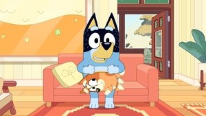 Bluey rövidfilmek 1. évad Ep.9 Kormány