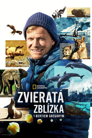 Az állatok világa Bertie Gregoryval poszter