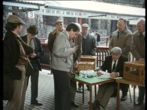 Minder 8. évad Ep.7 7. epizód