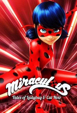 Miraculous Katicabogár és Fekete Macska kalandjai poszter