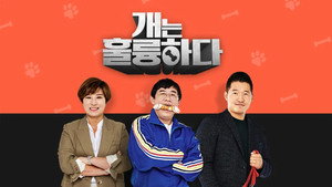 개는 훌륭하다 kép