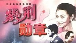 紫荆勋章 kép