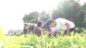 香港原味道 3. évad Ep.23 23. epizód