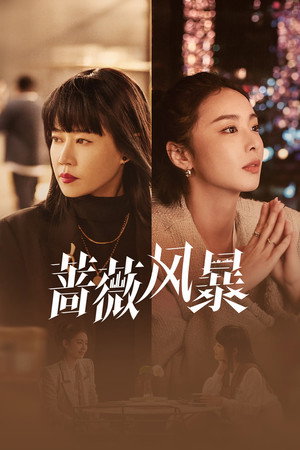 蔷薇风暴 poszter