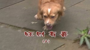 外来媳妇本地郎 4. évad Ep.1708 1708. epizód