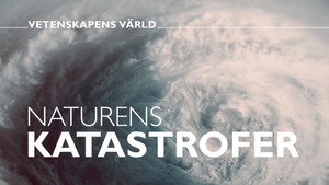Vetenskapens värld 50. évad Ep.31 31. epizód