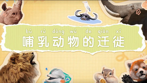斑马百科 9. évad Ep.9 9. epizód