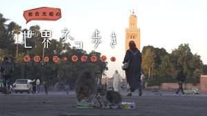 岩合光昭の世界ネコ歩き 1. évad Ep.6 6. epizód