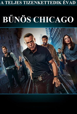 Bűnös Chicago 12. évad (2024-09-25) poszter