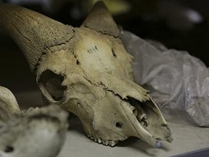 Expedíció az ismeretlenbe 3. évad Ep.6 6. epizód