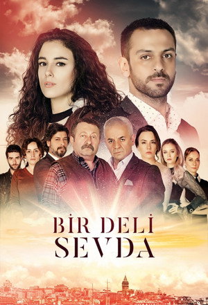 Bir Deli Sevda poszter