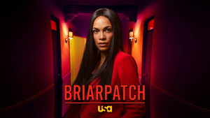 Briarpatch kép