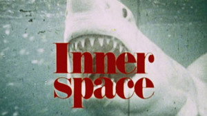 Inner Space kép