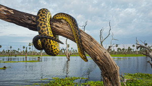 Wild Argentina: Extreme Earth kép