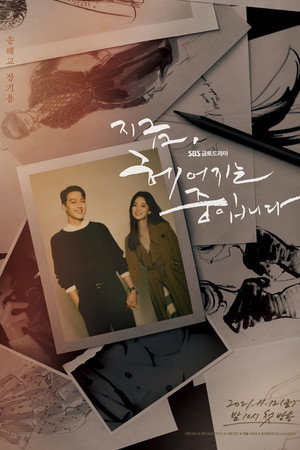 지금, 헤어지는 중입니다 poszter