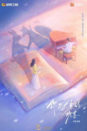 你是迟来的欢喜 poszter