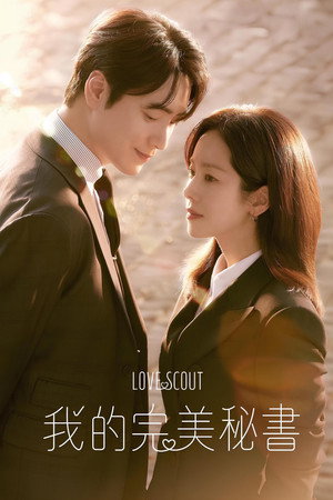 나의 완벽한 비서 poszter