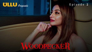 Woodpecker 1. évad Ep.2 2. epizód