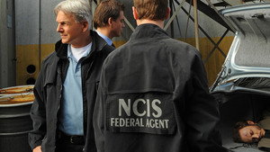 NCIS: Tengerészeti helyszínelők 8. évad Ep.15 Ellenállás