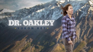 Dr. Oakley házhoz megy kép
