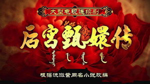 甄嬛传 kép