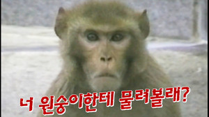꼬리에 꼬리를 무는 그날 이야기 3. évad Ep.141 141. epizód