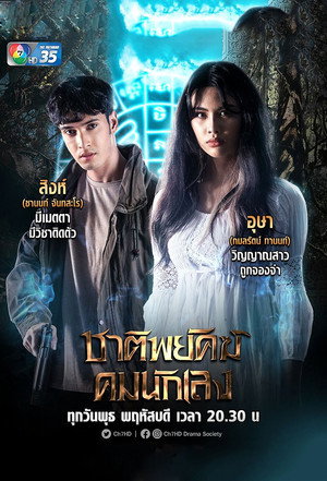 ชาติพยัคฆ์คมนักเลง poszter