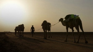 L'aventurier du goût kép