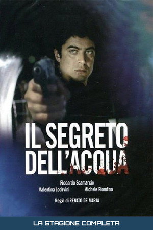 Il segreto dell'acqua 1. évad (2011-09-11) poszter