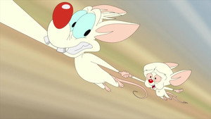 Animaniacs 2. évad Ep.21 21. epizód