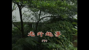 外来媳妇本地郎 4. évad Ep.1260 1260. epizód