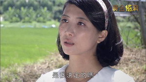 黄金稻浪 kép