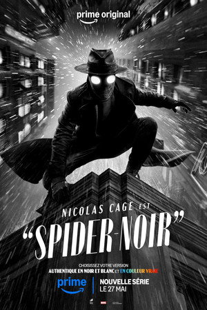 A Pók: Noir poszter