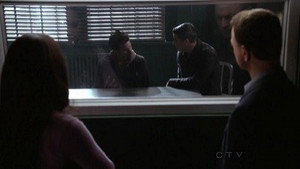 CSI: New York-i helyszínelők 9. évad Ep.12 Hazudj, ha tudsz