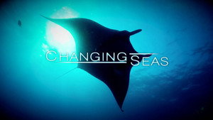 Changing Seas kép