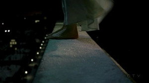CSI: New York-i helyszínelők 5. évad Ep.20 A vad