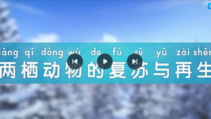 斑马百科 29. évad Ep.12 12. epizód