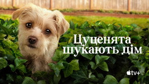 Kutyuskuckó kép
