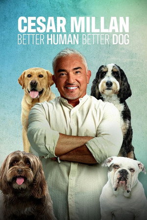 Cesar Millan: Jó gazdi, jó kutya 5. évad (2024-08-16) poszter