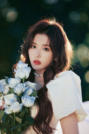 孔雪儿 profil kép